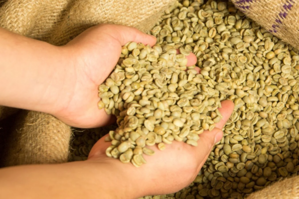 Indonesian Coffee☕ - Image 5